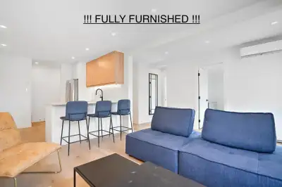 4 ½,  meublé, mile end - 20 juin - 20 août 2025