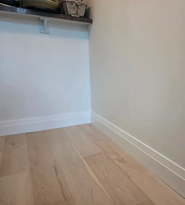 Professional painter/plaster . in Construction & Trades in City of Toronto - Image 5