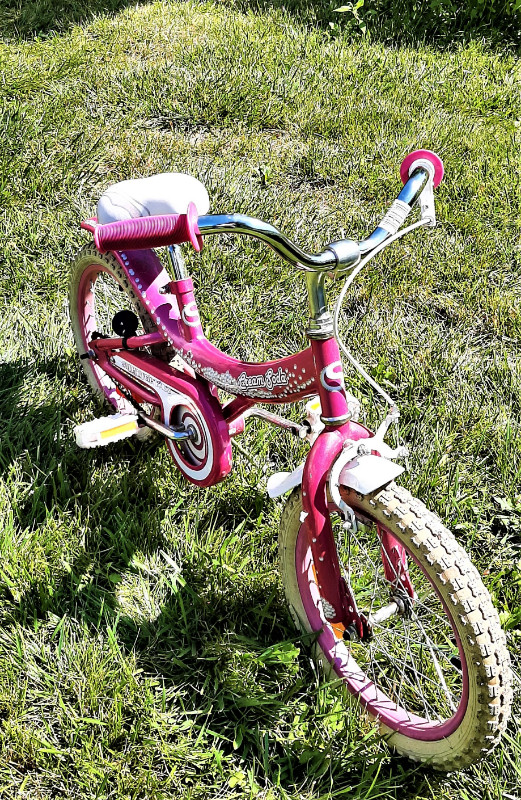 Supercycle bike 16 inch hotsell