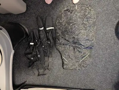 winter dog gear, View more