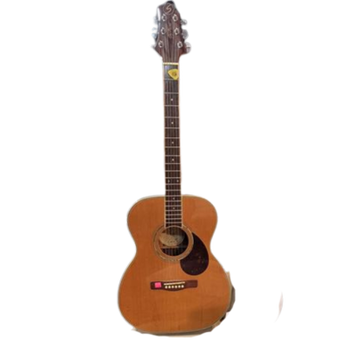 Greg Bennett OM7 Acoustic Guitar, View more