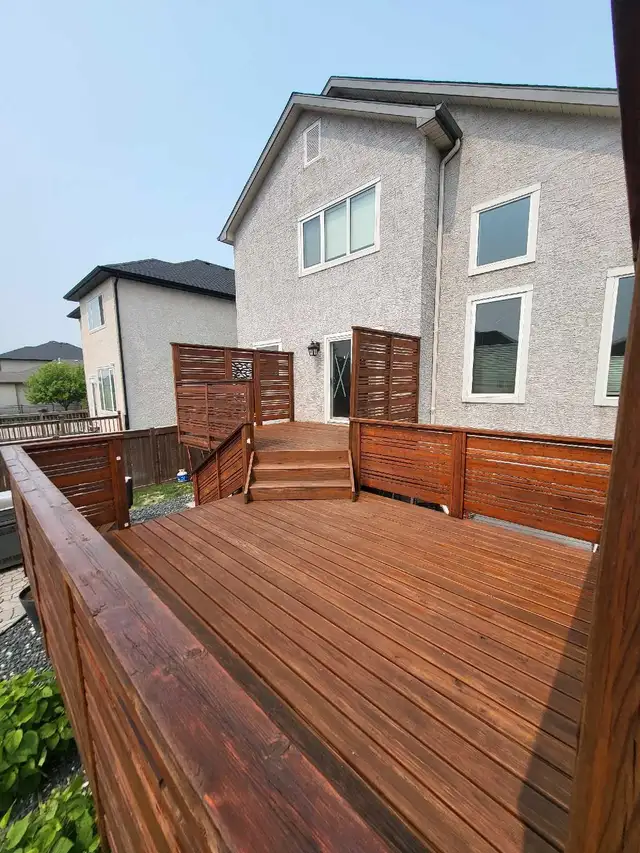 Pro painter628632215409931211