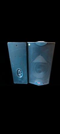 Apogee Sound International AFI-4 12" Passive 2-Way Loudspeakers