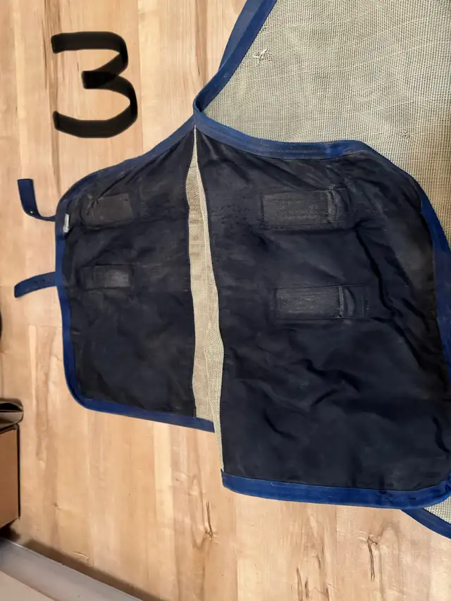 horse fly sheets and fly masks for sale in Equestrian & Livestock Accessories in Penticton - Image 5
