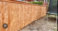 Fence build and drywall services
