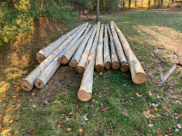 Cedar logs poles