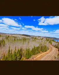 46 acre building lot - 15 mins to Thunder Bay - power of sale 