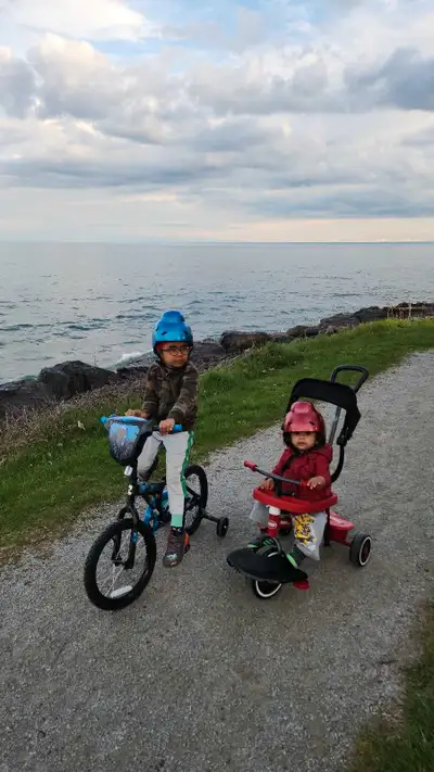 Hiring Part Time nanny for our two sons one 7 years old the other 18 Months old. Must live close to...
