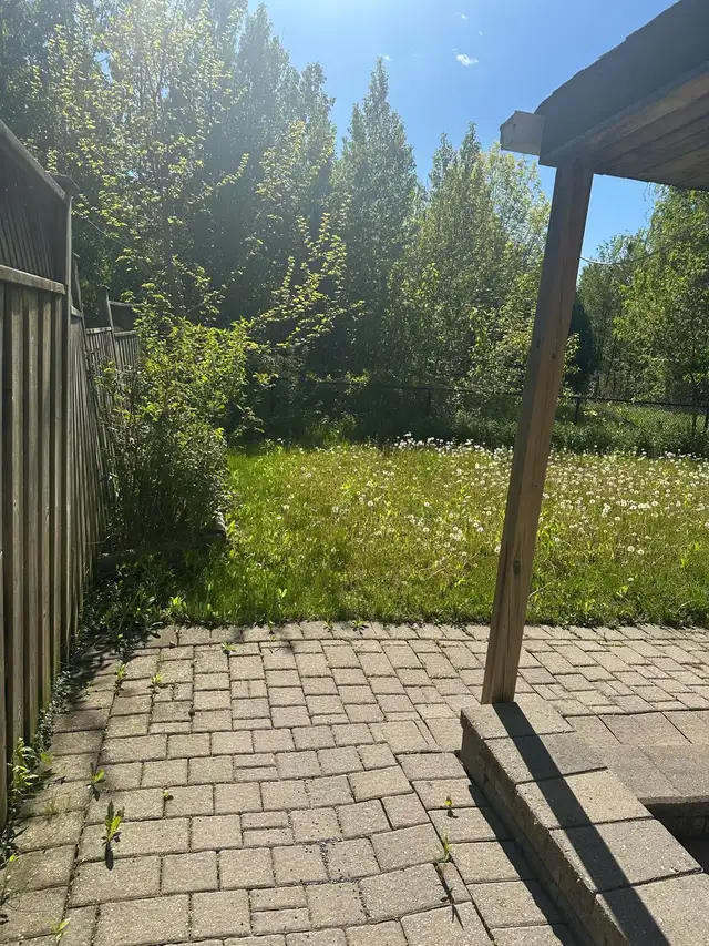 2-bedroom walkout basement  in Richmond Hill $1800 +1/3utility