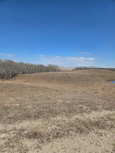Pasture Land for Sale, North of Carmel, SK. RM of Humboldt, NW21 38 24 W2.