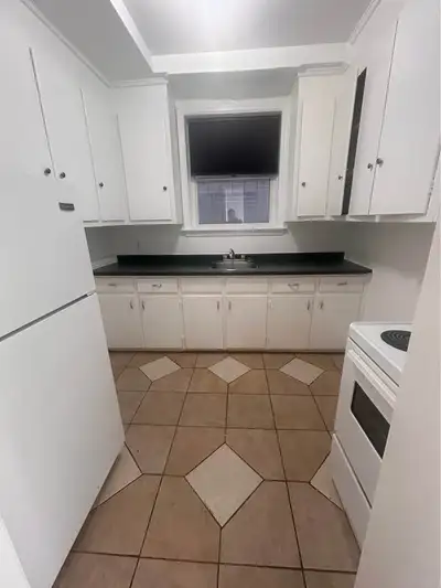 1 bedroom apt - downtown ottawa