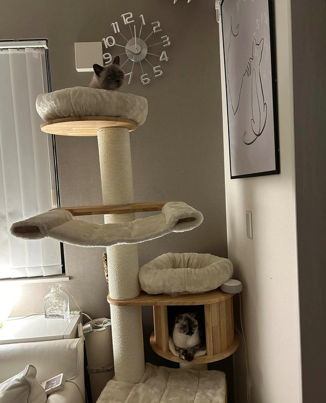 Cat Tree For Sale in Other in Cambridge