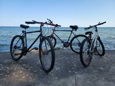 Vintage Mountain Bikes[1980s&1990s], View more