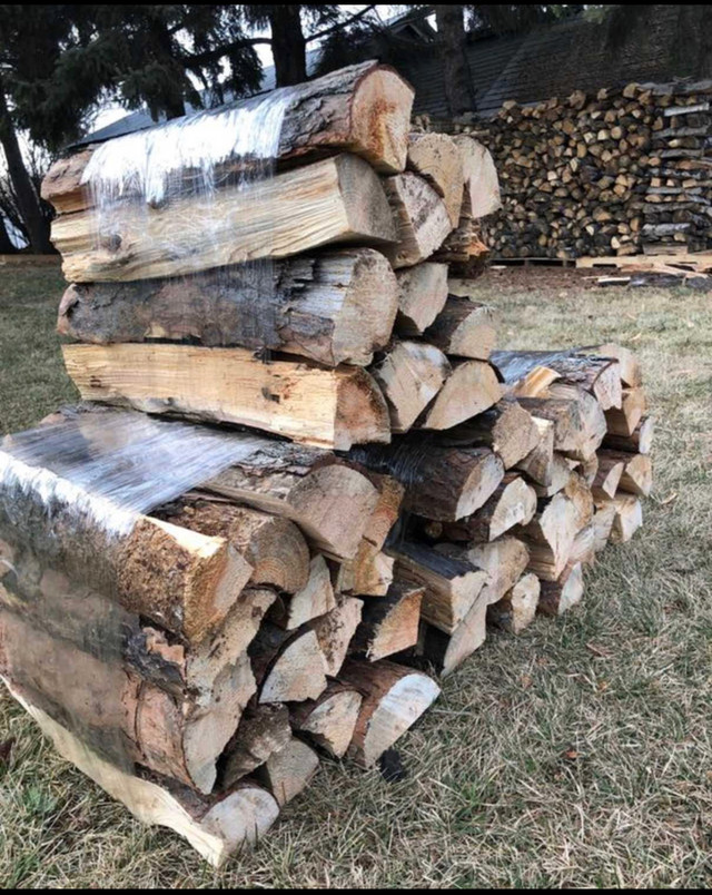 Firewood bundles in Fireplace & Firewood in Prince Albert