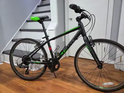 Giant Escape Jr 24 bike, View more