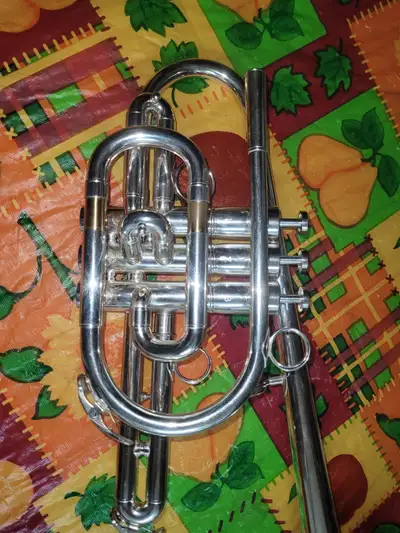Trumpet bflat, View more