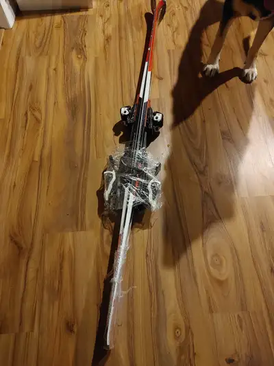 Ski alpin, View more