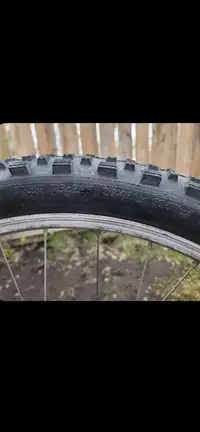 Stolen today. In need of rear bike tire adult bike
