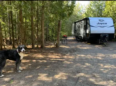 2021 Jayco 267BHS currently on a private site near Ipperwash Beach, can stay on site or be moved. In...