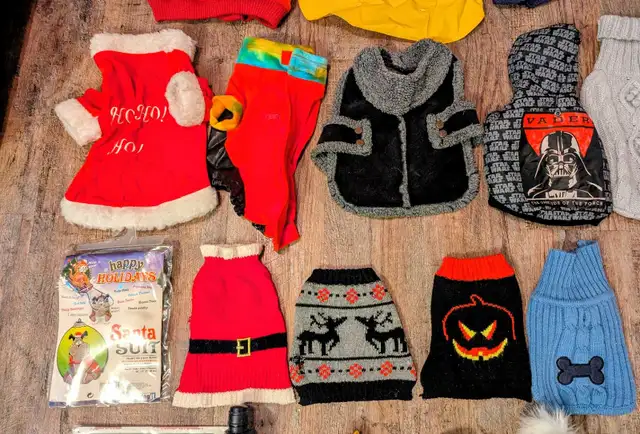 DOG Coats,l & Jackets, safety cone, lg rope toy, water bott in Other in Moncton - Image 7