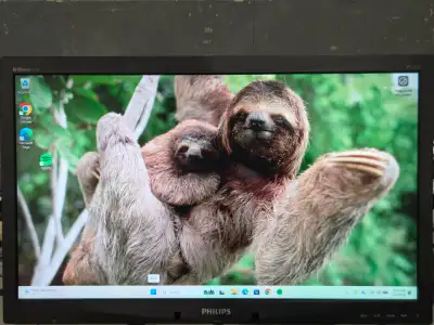 Philips 23" Monitor, View more