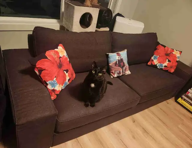 Grey full sized couch for sale