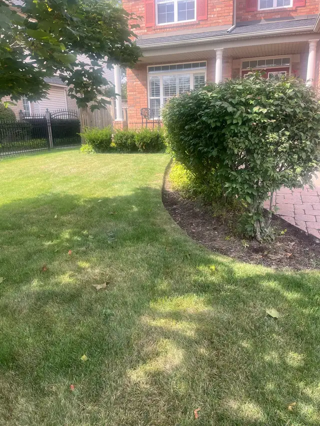 Lawn quote 63749434233729121