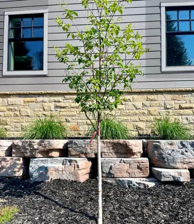 Landscape construction labourer , View more