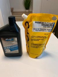 Snowblower Engine Oil and 4-cycle Engine Oil Cub Cadet  (GB)