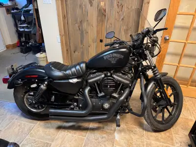 Harley Davidson Sportster XL883 Iron Horse 2017. En excellente condition. Ajout récent: pare-brise,...