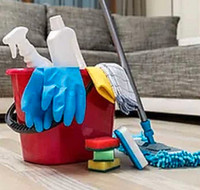 House cleaning (Senior)