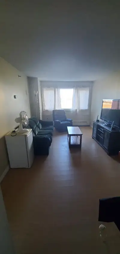Looking for a quiet professional to rent 1 room in a 2 bedroom apartment. Electricity and Wifi extra...