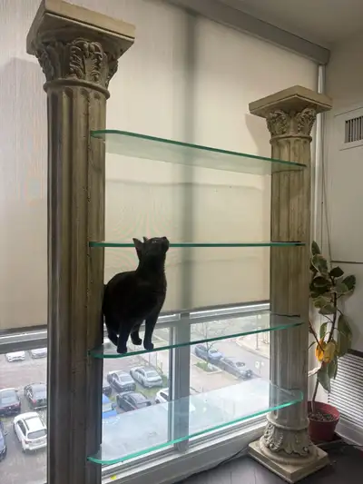 Decorative Glass Display Shelf with Greek Columns, View more
