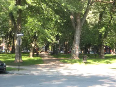 3 bdrm 5.5 Sud-Ouest (Jolicoeur metro), Aug or Sep 1st or sooner