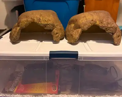 New Exo Terra Reptile Rock Hides In Different Sizes, View more