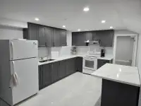 Newly Renovated Basement for Rent