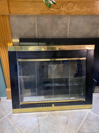 Fireplace door and screen 