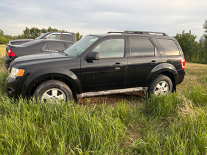 2009 Ford Escape XLT 3L V6 4dr 4wd