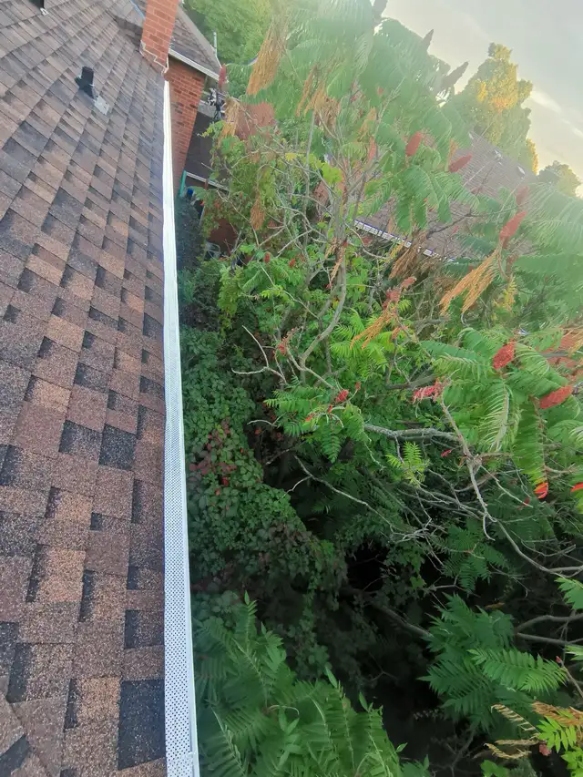 Eavesdrop Gutter Roof Repair Replacement & Leak Fix Affordable 62864359995010124