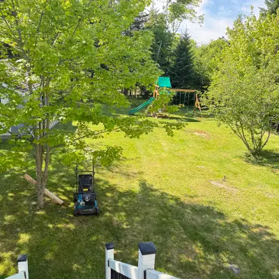 Grass cutting and lawn care services , View more