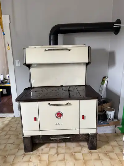 Enterprise Ajax Wood stove / cook stove, View more