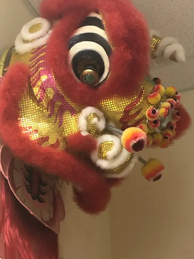 Chinese lion head for lion dance in Arts & Collectibles in Delta/Surrey/Langley - Image 7