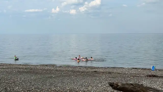 Disponible du 1ier juin au 29 juin et 16 août  au 31 août / 2025 in New Brunswick in Canada - Image 10