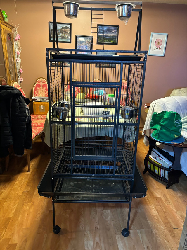 Extra Large Bird Cage For Sale  in Birds for Rehoming in Calgary