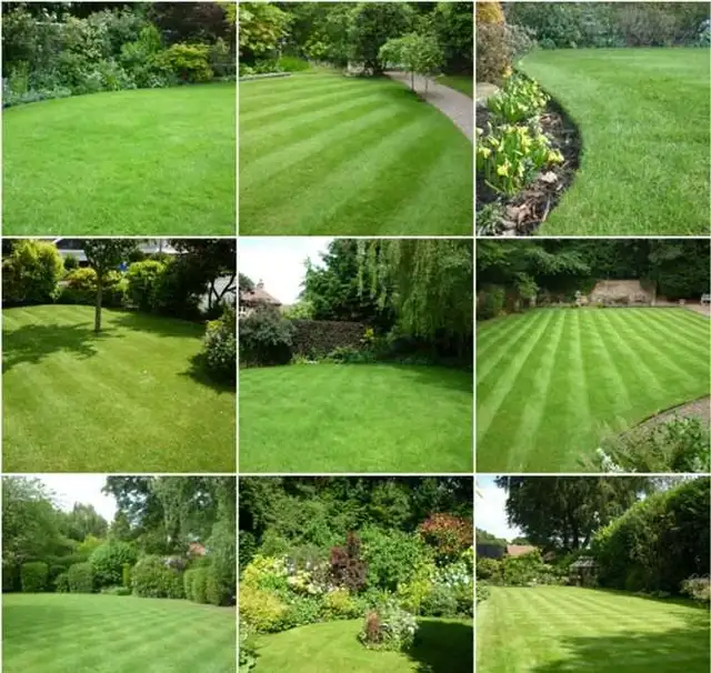 Green Solution grass cutting CALL 289200663363235243250051121