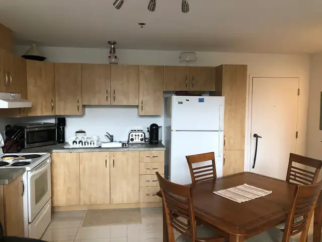 Renovated 4.5-Bedroom Apartment in the Heart of Downtown, Close to Everything!