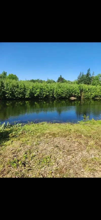 82 acres for sale in Wickham New Brunswick. Repost. 15 acres of old farm land and the rest mix of Ha...