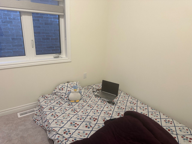 Room for rent  in Room Rentals & Roommates in Mississauga / Peel Region - Image 2