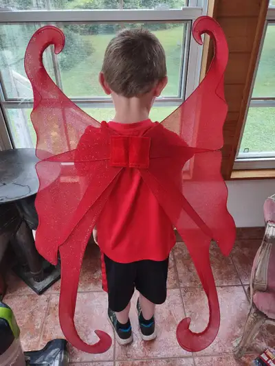 costume fantasy wings, View more