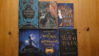 Fantasy & Fiction Book Lot / 35 books